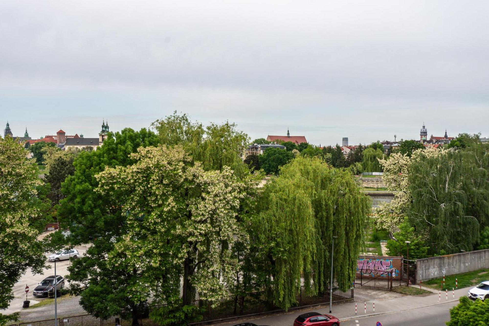 3D Ludwinowska 11 Apartment Krakow Luaran gambar